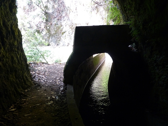 Levada (da Ribeira) da Janela — photo 25