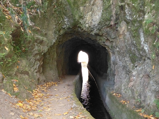 Levada (da Ribeira) da Janela — photo 21