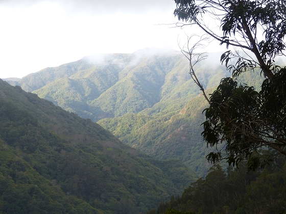 03.08.2012 Levada da Ribeira da Janela — Von Lamaceiros bis zum Bachübergang mit dem Wellblechdach — Foto 5