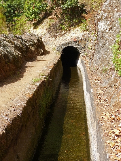 03.08.2012 Levada da Ribeira da Janela — Bis zur zweiten Madre — Foto 13