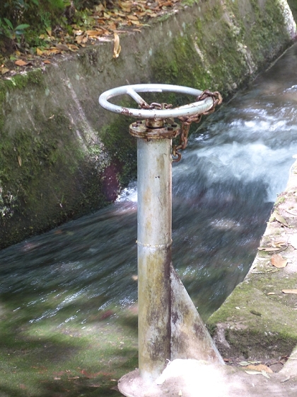 03.08.2012 Levada da Ribeira da Janela — Bis zur zweiten Madre — Foto 17