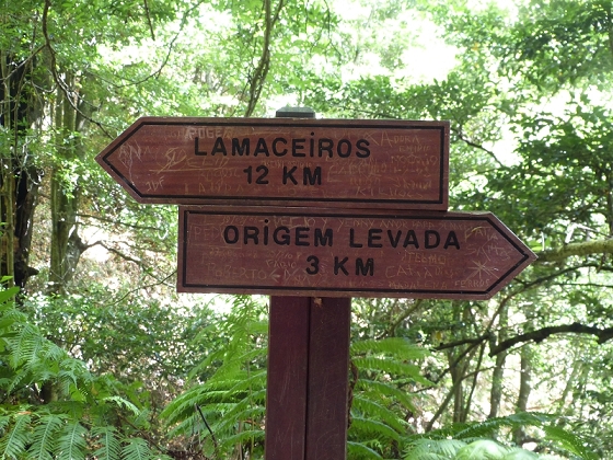 Levada (da Ribeira) da Janela — photo 19
