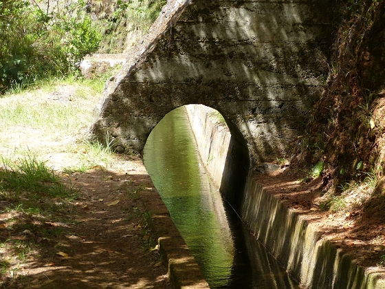 03.08.2012 Levada da Ribeira da Janela — Bis zur zweiten Madre — Foto 19
