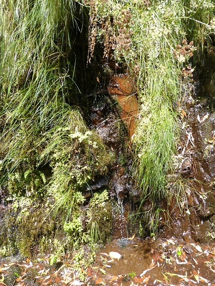 03.08.2012 Levada da Ribeira da Janela — Bis zur zweiten Madre — Foto 20