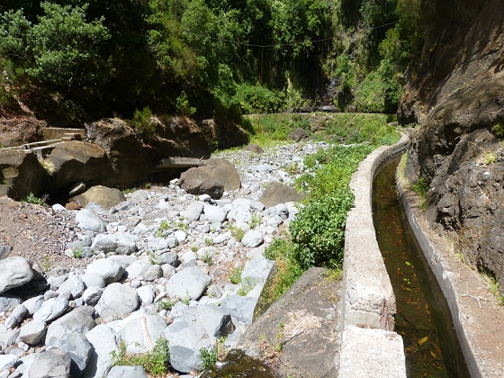 03.08.2012 Levada da Ribeira da Janela — Zur ersten Madre — Foto 1