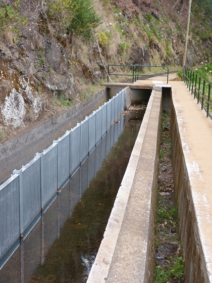 03.08.2012 Levada da Ribeira da Janela — Von Lamaceiros bis zum Bachübergang mit dem Wellblechdach — Foto 6