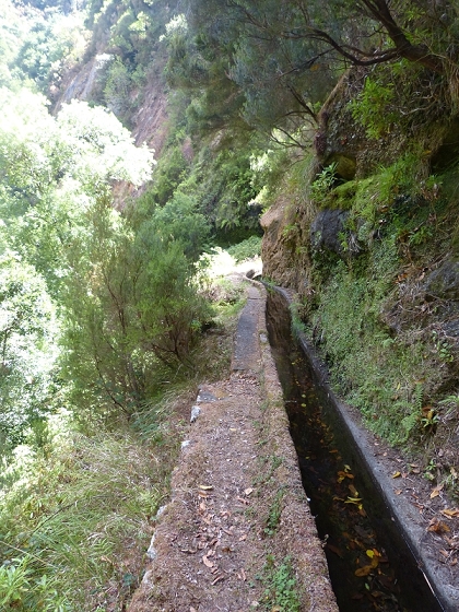 03.08.2012 Levada da Ribeira da Janela — Zur ersten Madre — Foto 2