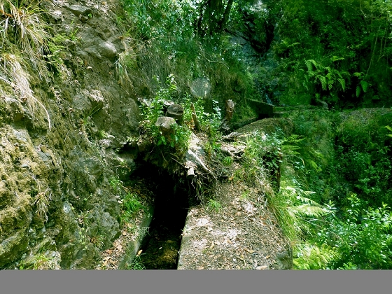 Levada (da Ribeira) da Janela — photo 7