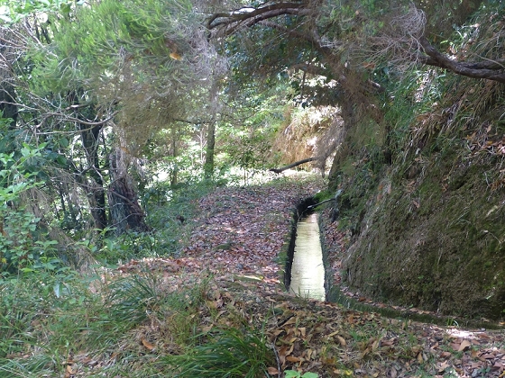 Levada (da Ribeira) da Janela — photo 12