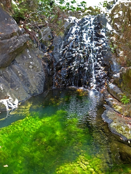 03.08.2012 Levada da Ribeira da Janela — Zur ersten Madre — Foto 17