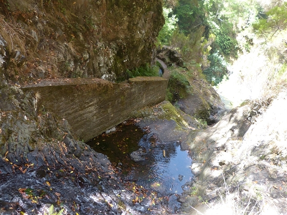 Levada (da Ribeira) da Janela — photo 3
