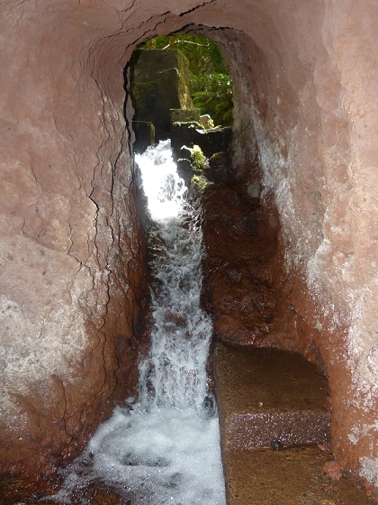 03.08.2012 Levada da Ribeira da Janela — Zur ersten Madre — Foto 19
