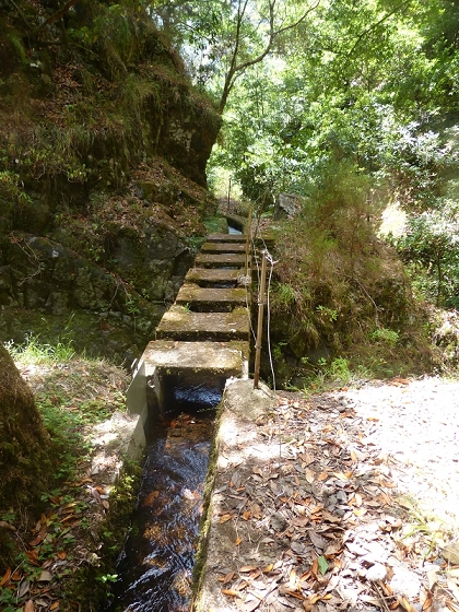 Levada (da Ribeira) da Janela — photo 5