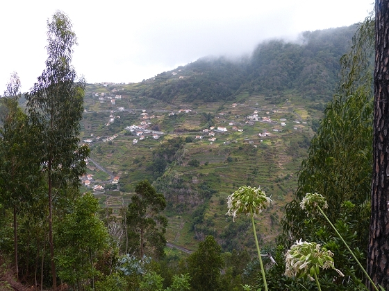 03.08.2012 Levada da Ribeira da Janela — Von Lamaceiros bis zum Bachübergang mit dem Wellblechdach — Foto 7