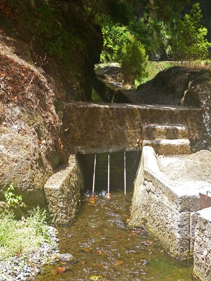 03.08.2012 Levada da Ribeira da Janela — Rückweg — Foto 4