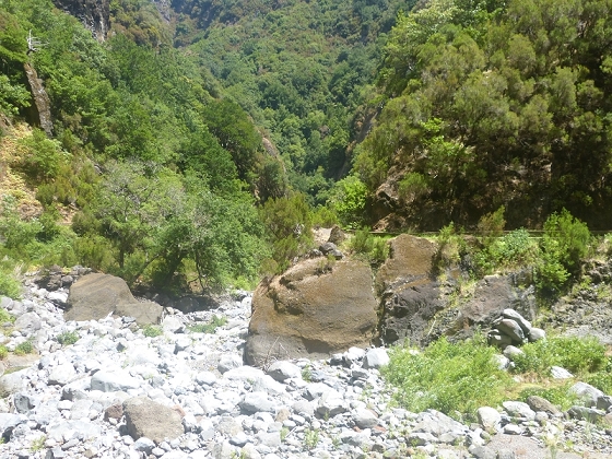 03.08.2012 Levada da Ribeira da Janela — Rückweg — Foto 5