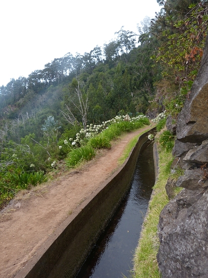 03.08.2012 Levada da Ribeira da Janela — Von Lamaceiros bis zum Bachübergang mit dem Wellblechdach — Foto 8