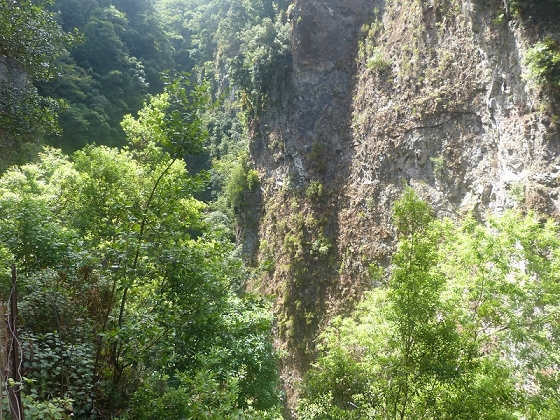 03.08.2012 Levada da Ribeira da Janela — Rückweg — Foto 10