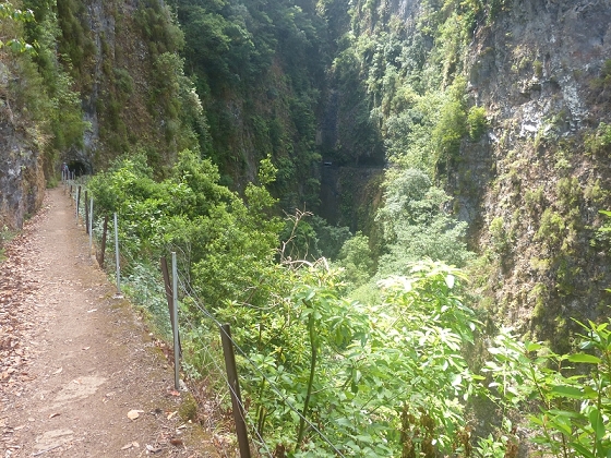 03.08.2012 Levada da Ribeira da Janela — Rückweg — Foto 11