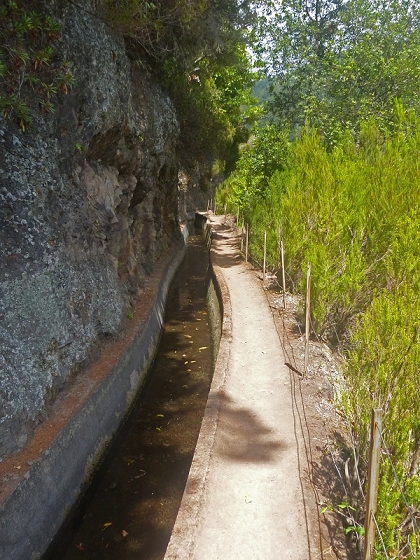 03.08.2012 Levada da Ribeira da Janela — Rückweg — Foto 12