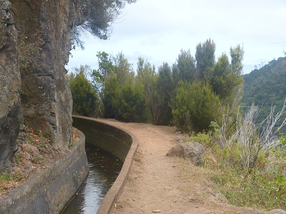 03.08.2012 Levada da Ribeira da Janela — Rückweg — Foto 18