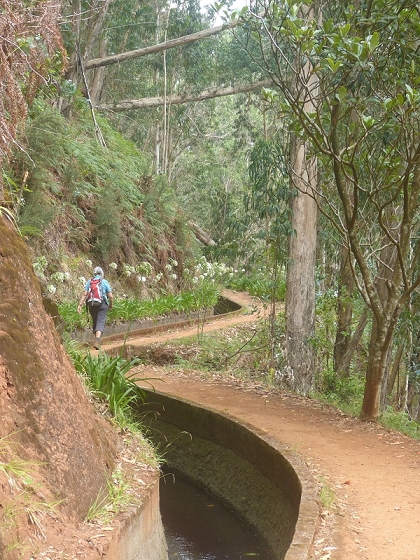 03.08.2012 Levada da Ribeira da Janela — Rückweg — Foto 24