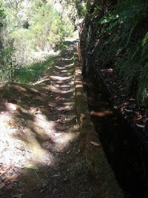 Levada (da Ribeira) da Janela — photo 13