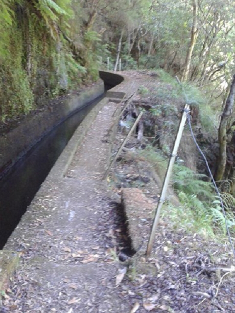 Levada (da Ribeira) da Janela — photo 8