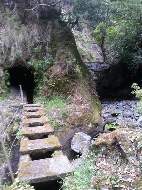03.08.2012 Levada da Ribeira da Janela — Zur ersten Madre — Foto 13