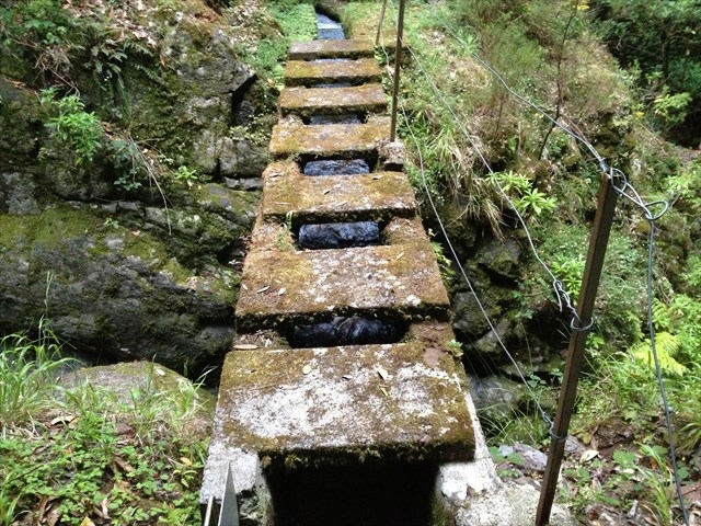 03.08.2012 Levada da Ribeira da Janela — Zur ersten Madre — Foto 14