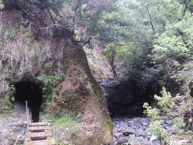 03.08.2012 Levada da Ribeira da Janela — Zur ersten Madre — Foto 12
