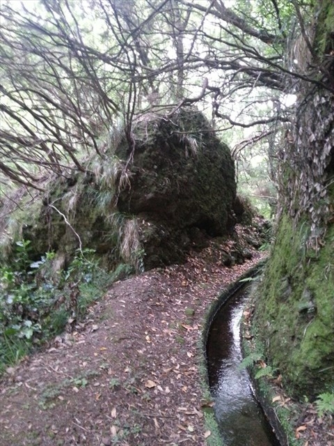 Levada (da Ribeira) da Janela — photo 11
