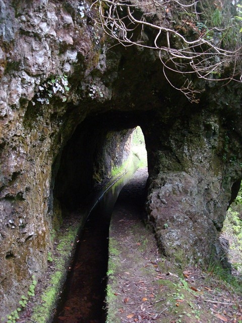 Levada (da Ribeira) da Janela — photo 10