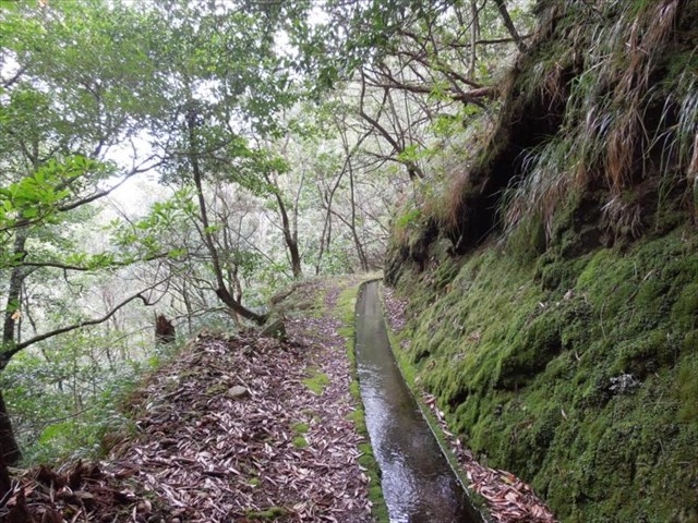 Levada (da Ribeira) da Janela — photo 9