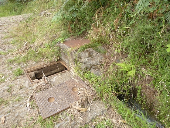 03.08.2013 Aguas dos Tornos — Auf der Levada das Cales nach Monte — Foto 19