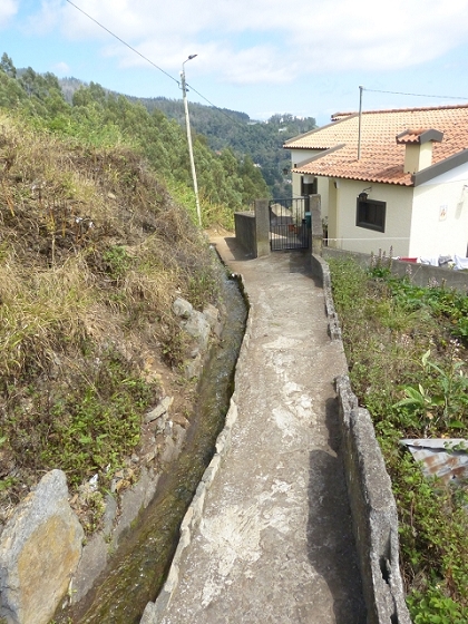 03.08.2013 Aguas dos Tornos — Auf der Levada das Cales nach Monte — Foto 21