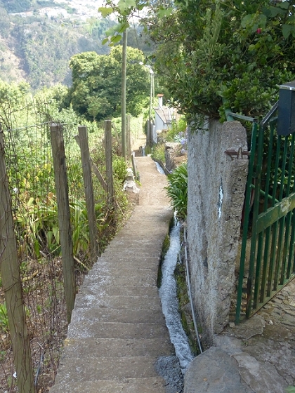 03.08.2013 Aguas dos Tornos — Auf der Levada das Cales nach Monte — Foto 22