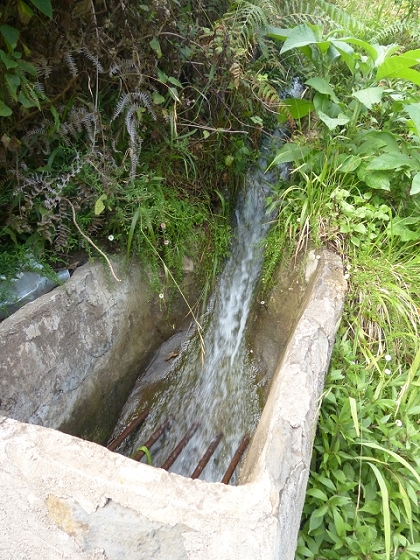 03.08.2013 Aguas dos Tornos — Auf der Levada das Cales nach Monte — Foto 23