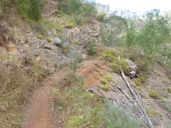 03.08.2013 Aguas dos Tornos — Zur Levada dos Tornos, Tunnel und zurück zum Ausgangspunkt — Foto 2