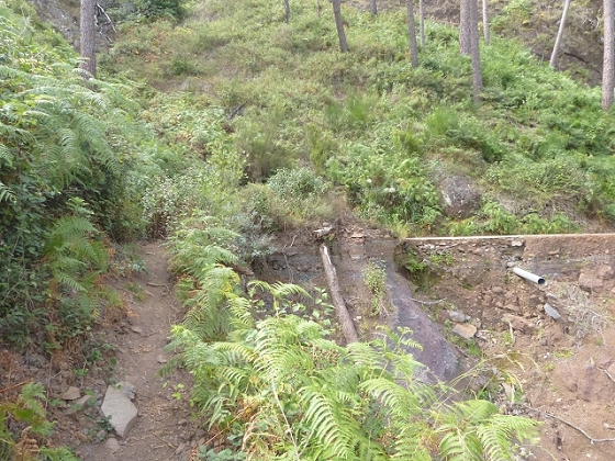 03.08.2013 Aguas dos Tornos — Zur Levada dos Tornos, Tunnel und zurück zum Ausgangspunkt — Foto 3