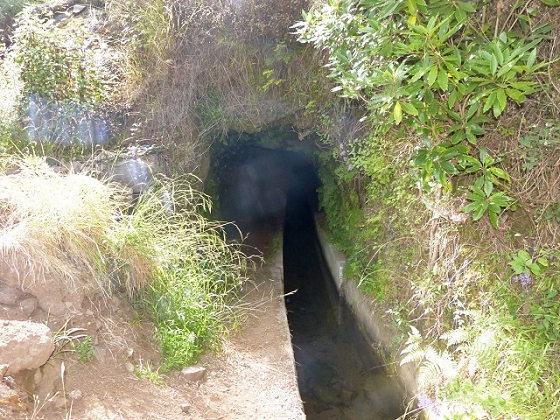 03.08.2013 Aguas dos Tornos — Zur Levada dos Tornos, Tunnel und zurück zum Ausgangspunkt — Foto 4