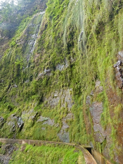 03.08.2013 Aguas dos Tornos — Zur Levada dos Tornos, Tunnel und zurück zum Ausgangspunkt — Foto 6