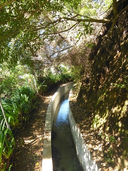 03.08.2013 Aguas dos Tornos — Von Corujeira zum Centro tematico de Agua — Foto 12