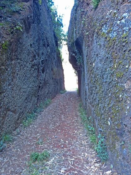 Levada da Corujeira (tail branch of the Levada dos Tornos) — Course between the Ribeira do Pisão and Corujeira — photo 2