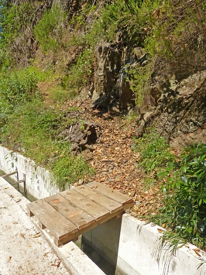 03.08.2013 Aguas dos Tornos — Aufstieg zur Quelle der Aguas dos Tornos — Foto 1