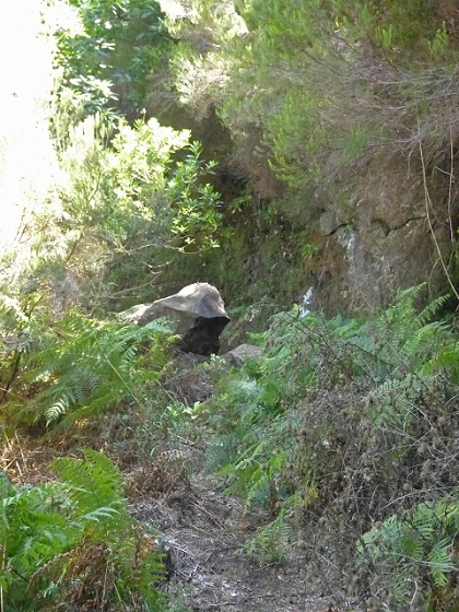 03.08.2013 Aguas dos Tornos — Aufstieg zur Quelle der Aguas dos Tornos — Foto 11