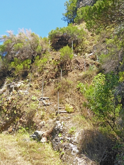 03.08.2013 Aguas dos Tornos — Aufstieg zur Quelle der Aguas dos Tornos — Foto 17