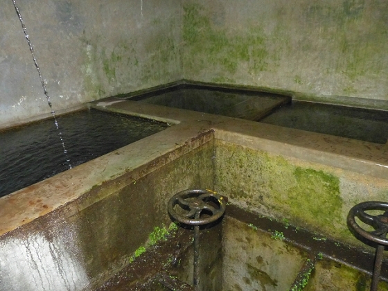 03.08.2013 Aguas dos Tornos — Aufstieg zur Quelle der Aguas dos Tornos — Foto 24