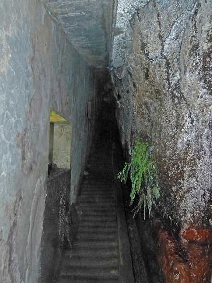 03.08.2013 Aguas dos Tornos — Aufstieg zur Quelle der Aguas dos Tornos — Foto 25