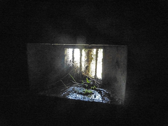 03.08.2013 Aguas dos Tornos — Aufstieg zur Quelle der Aguas dos Tornos — Foto 27